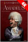 AMADEUS 40esimo ANNIVERSARIO | 4K